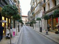Palma Februar 07 (11) 